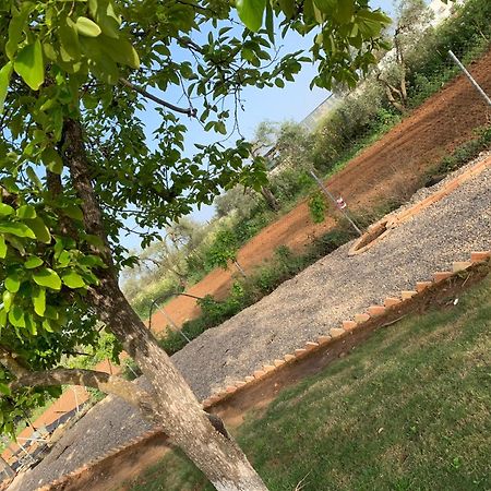 Casa Los Laureles 皮拉斯 外观 照片