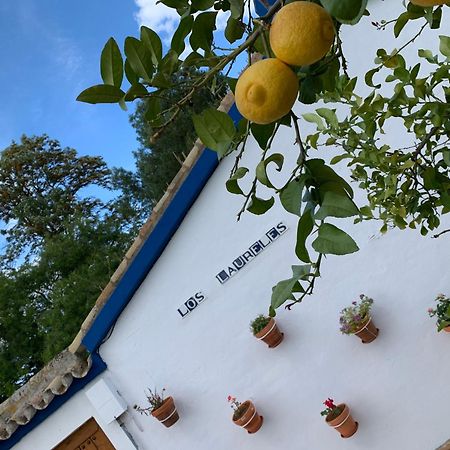 Casa Los Laureles 皮拉斯 外观 照片