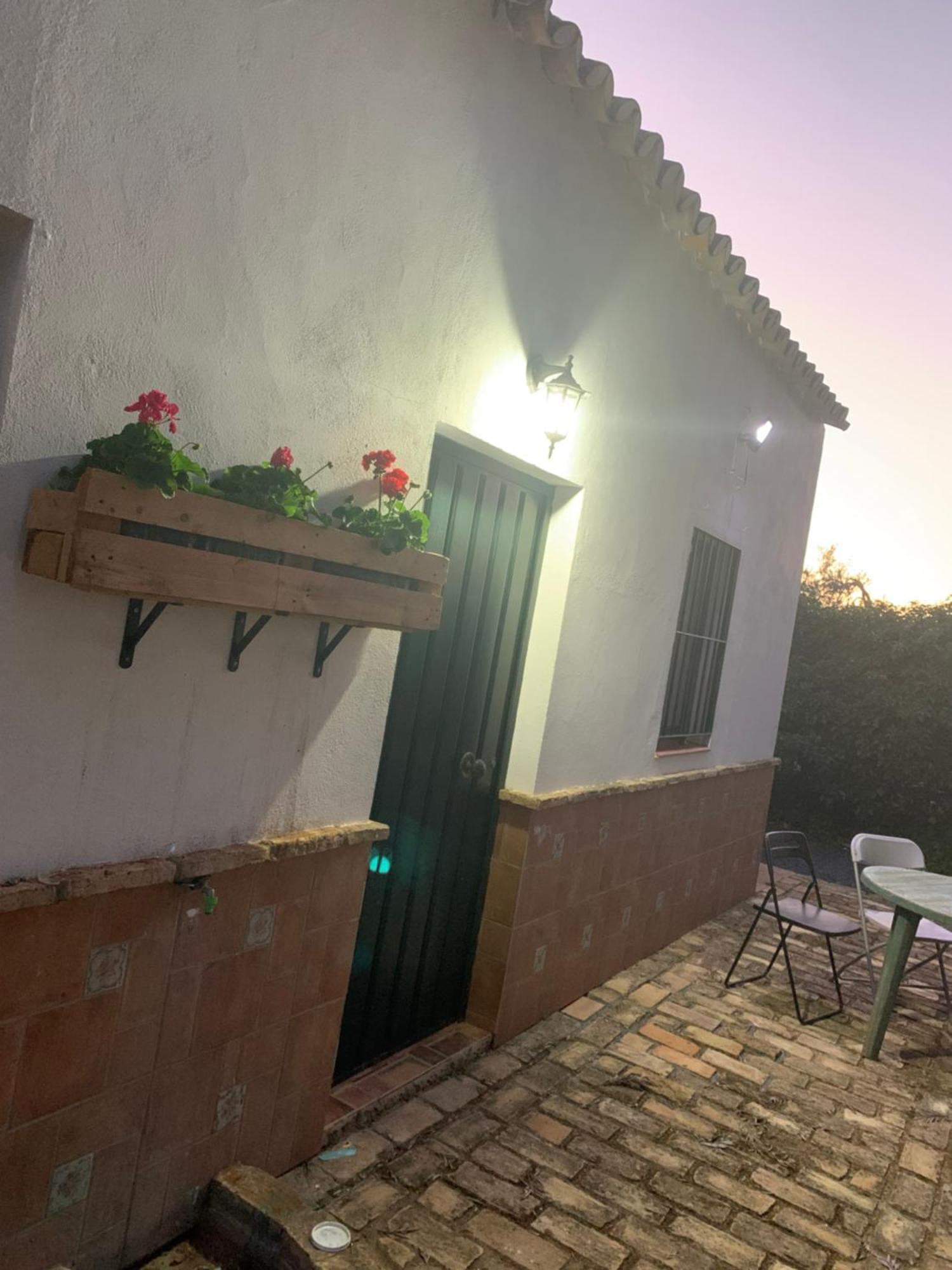 Casa Los Laureles 皮拉斯 外观 照片
