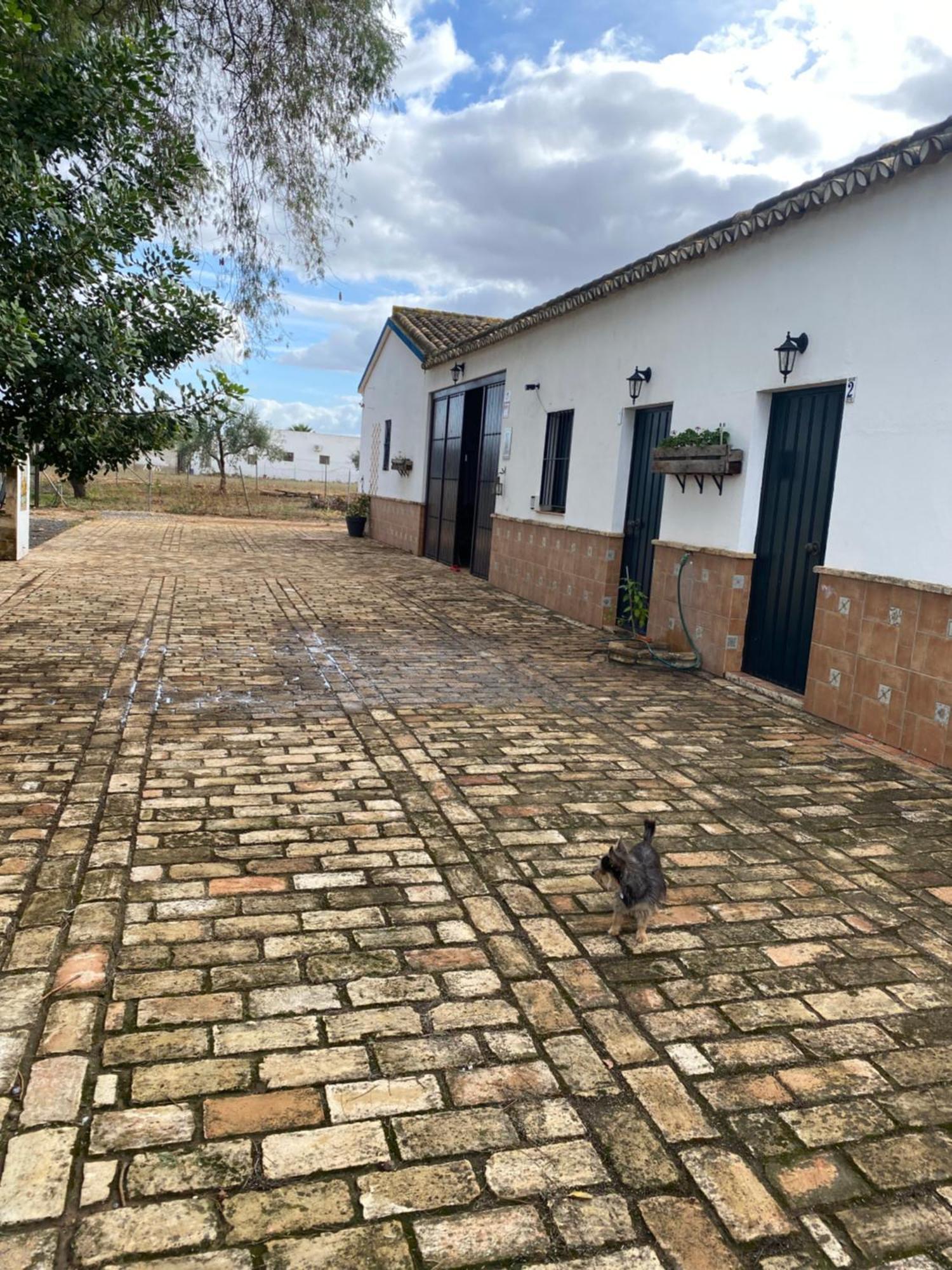 Casa Los Laureles 皮拉斯 外观 照片