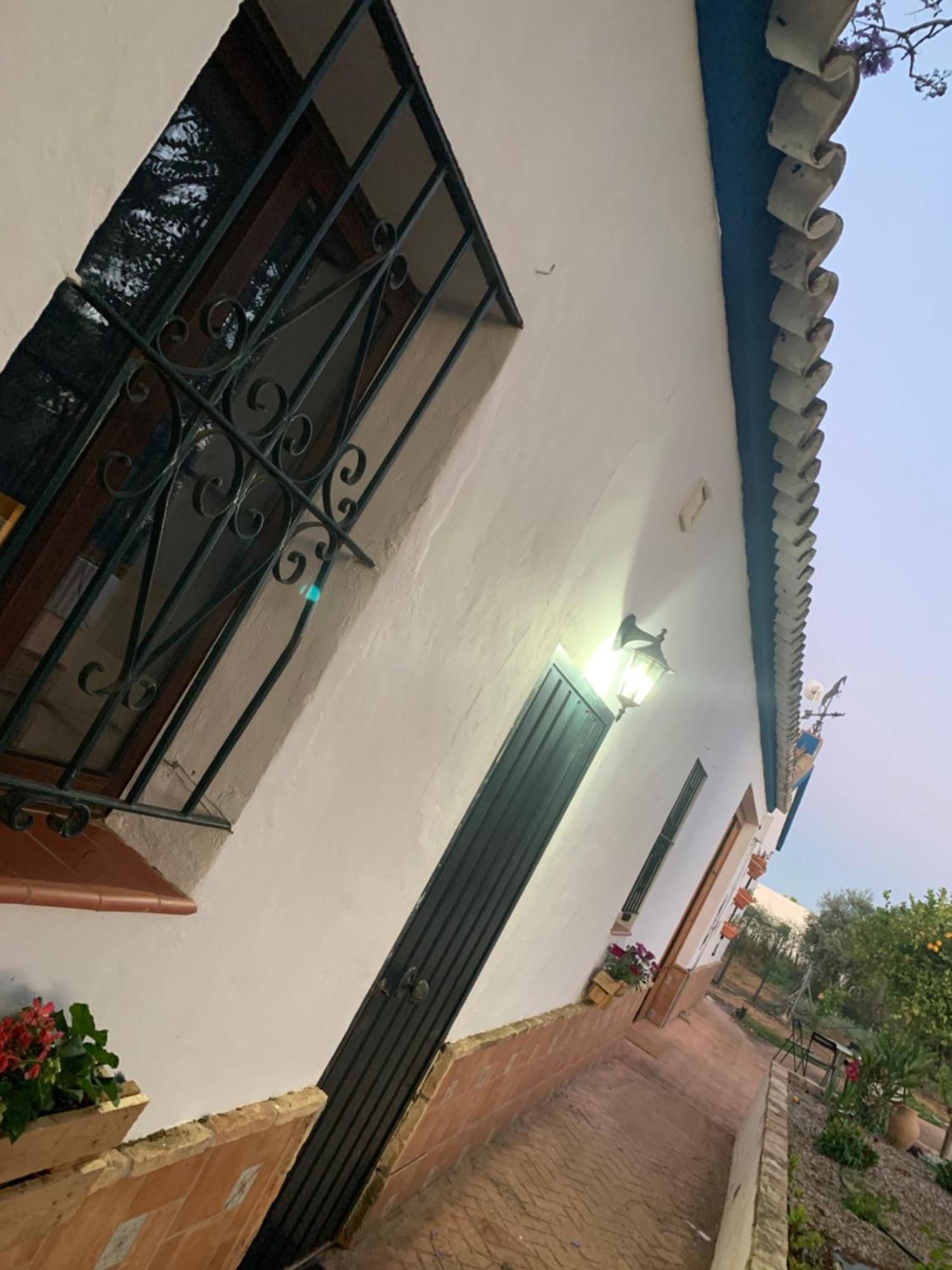 Casa Los Laureles 皮拉斯 外观 照片