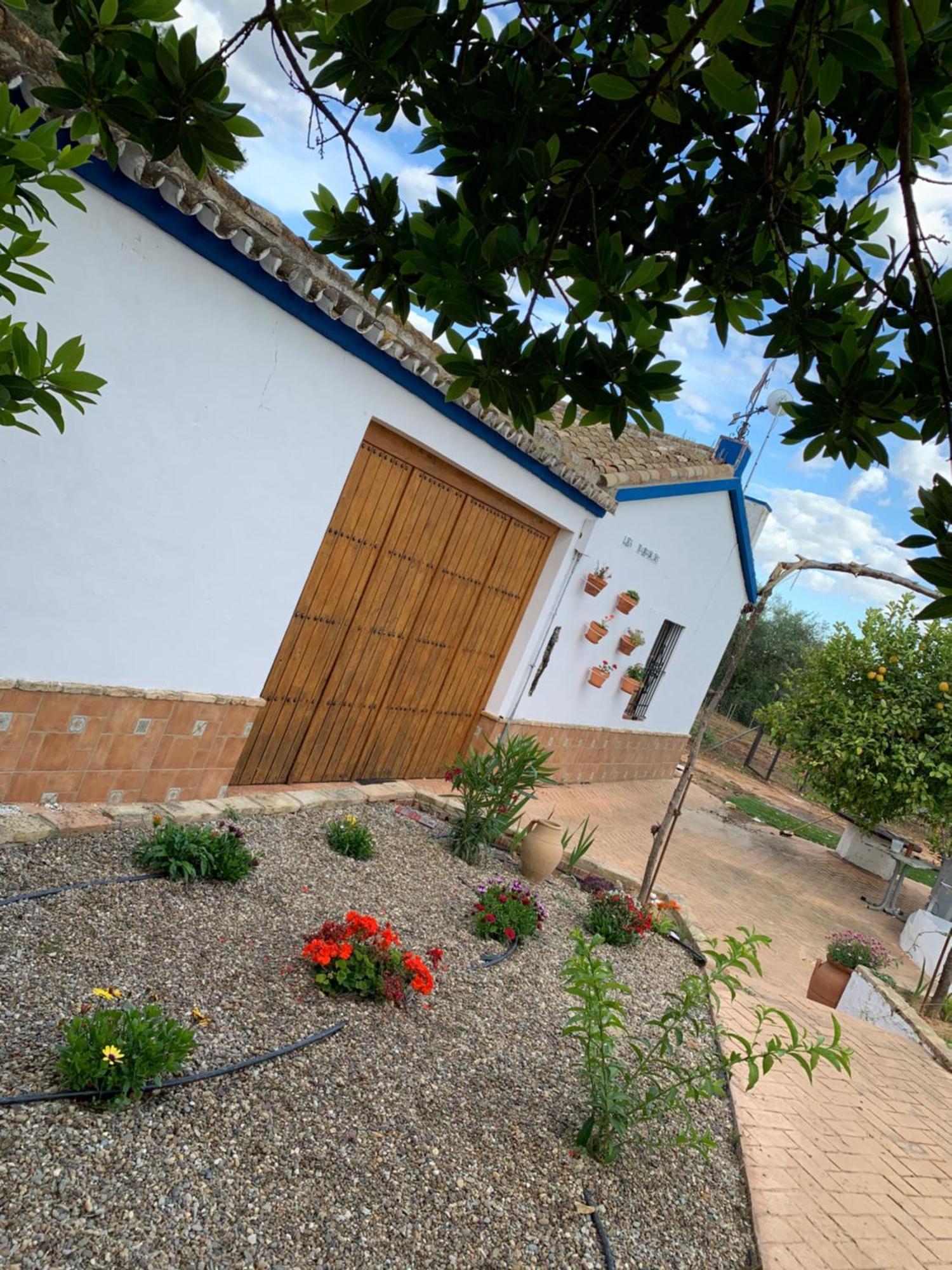 Casa Los Laureles 皮拉斯 外观 照片