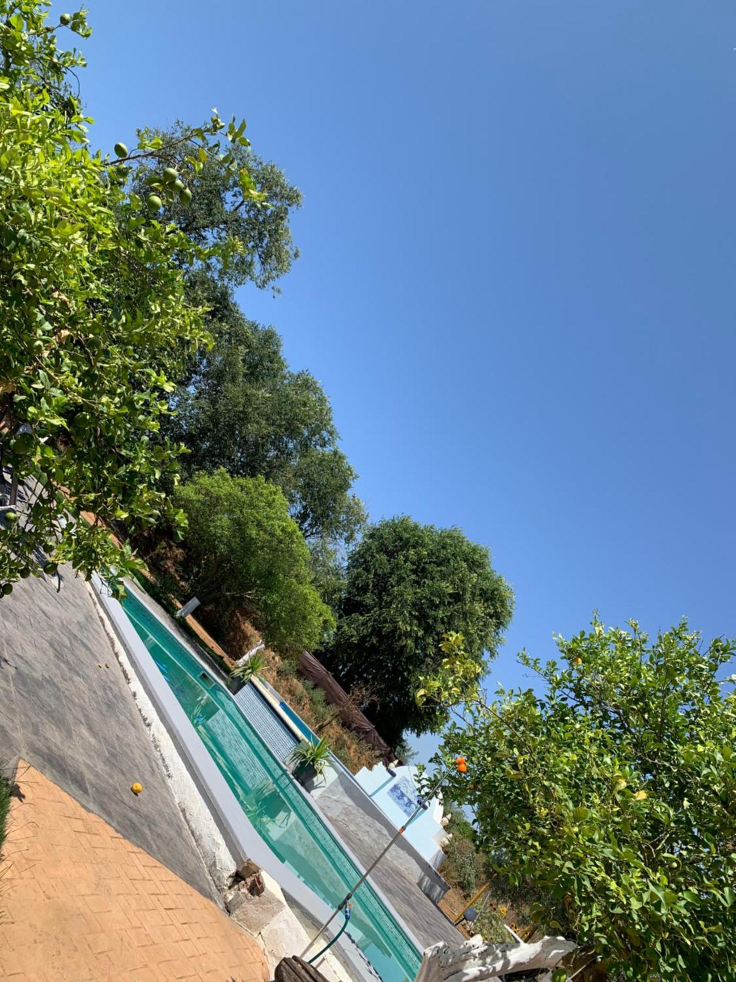 Casa Los Laureles 皮拉斯 外观 照片