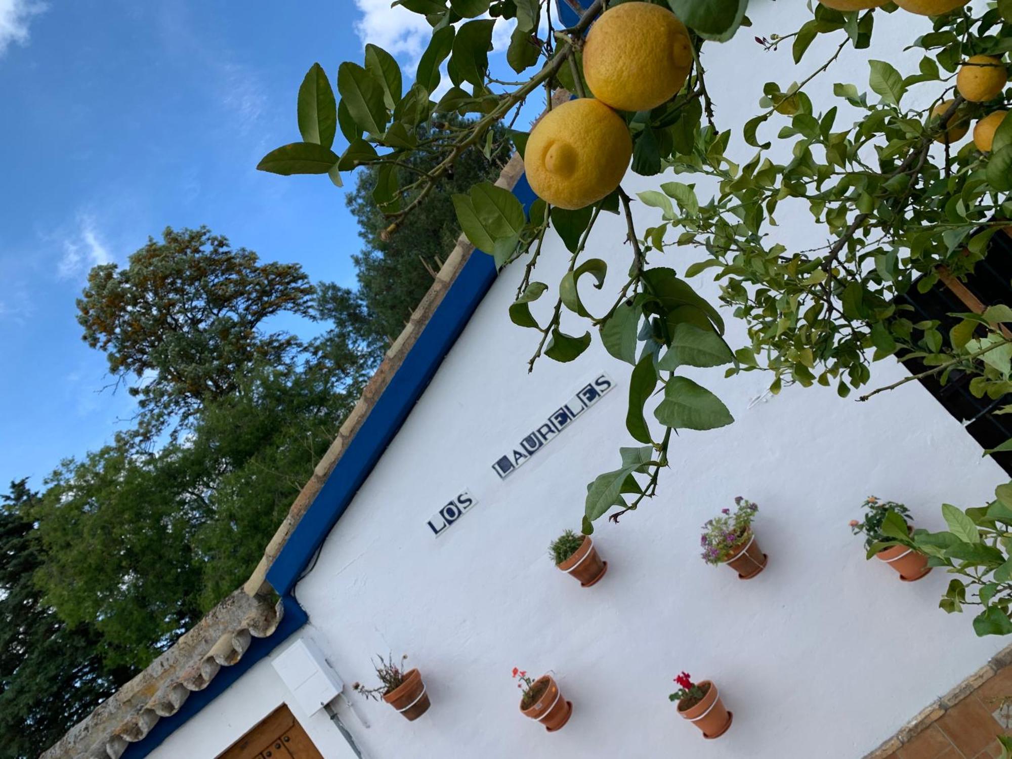 Casa Los Laureles 皮拉斯 外观 照片