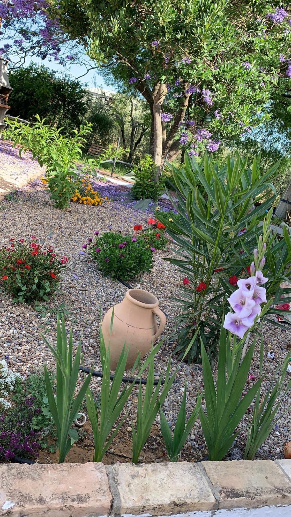 Casa Los Laureles 皮拉斯 外观 照片