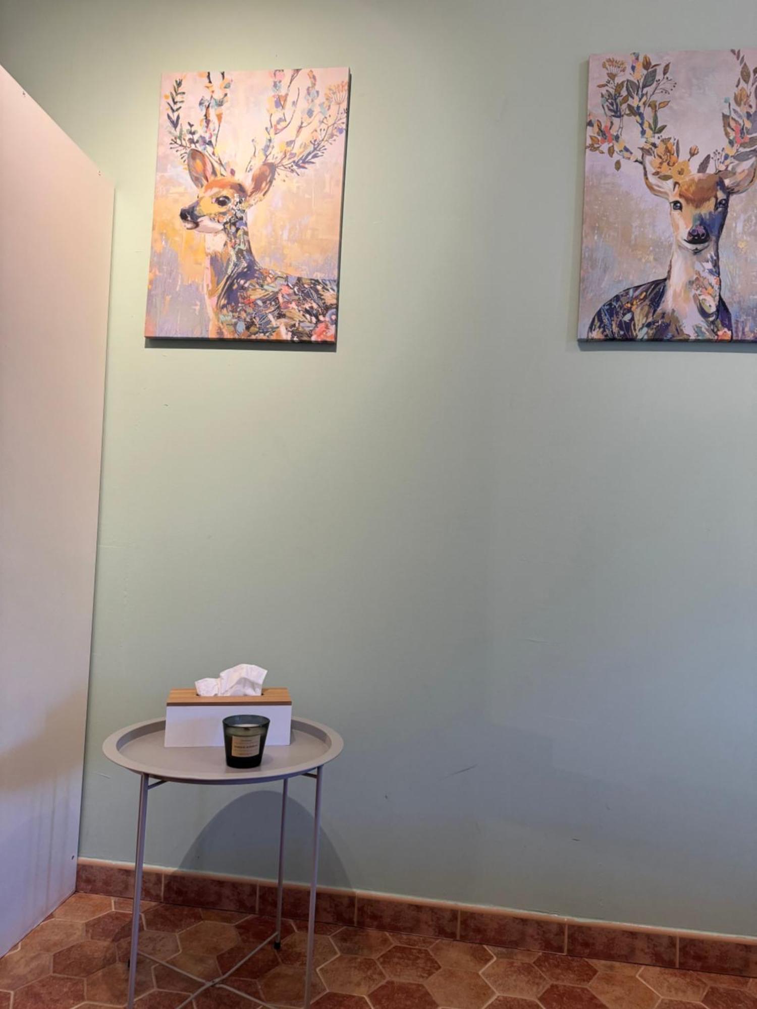 Casa Los Laureles 皮拉斯 外观 照片